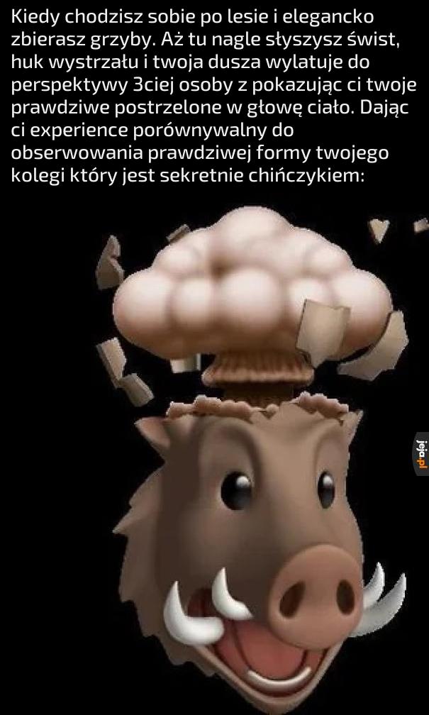 Na Ozyrysa i na Apisa