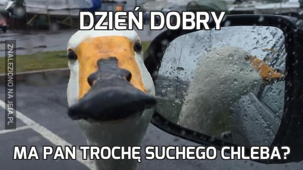 Dzień dobry