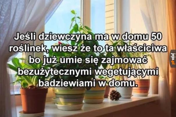 Rada