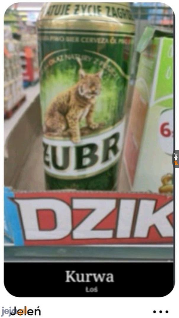 Niedźwiedź