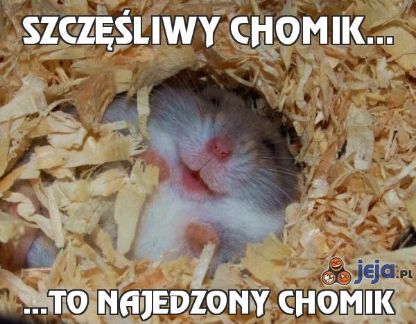 Szczęśliwy chomik...