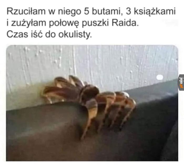 Wada wzroku to nie przelewki