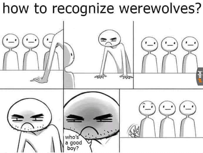 Jak rozpoznać wilkołaka