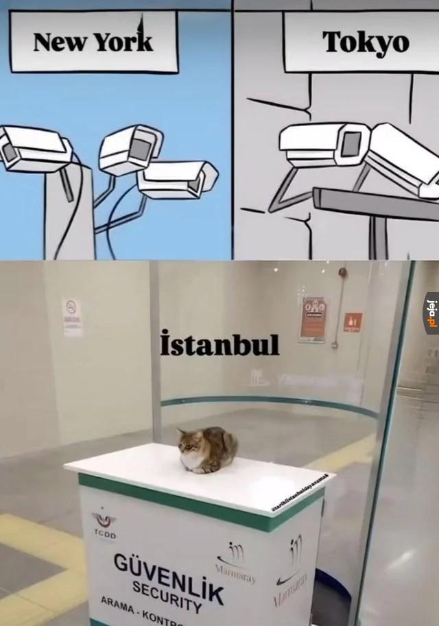 Najlepszy monitoring