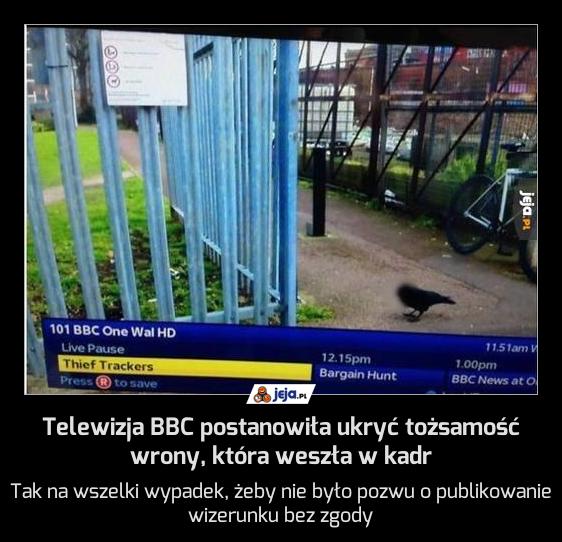 Telewizja BBC postanowiła ukryć tożsamość wrony, która weszła w kadr