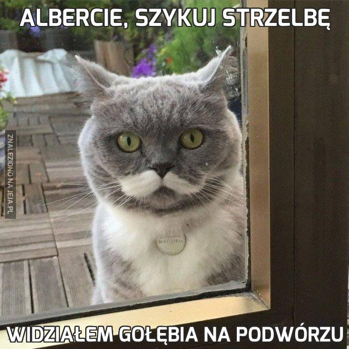 Albercie, szykuj strzelbę