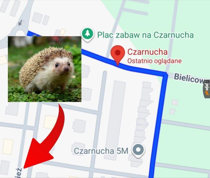 Mem ma na celu kogoś urazić