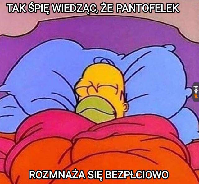 Szkoła be like: