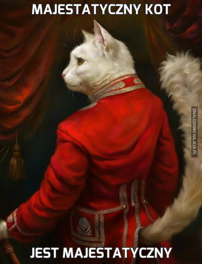 Majestatyczny kot