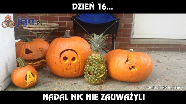https://pobierak.jeja.pl/images/2/c/8/62906_dzien-16.jpg