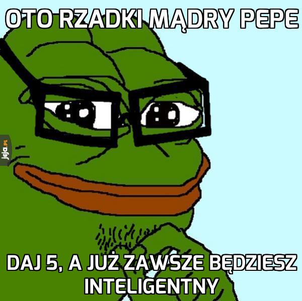 Rzadki mądry Pepe