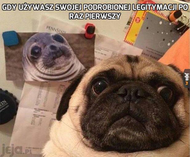 Gdy używasz swojej podrobionej legitymacji po raz pierwszy