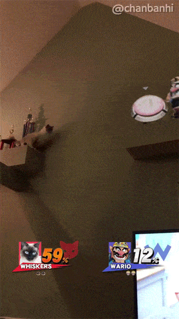 Koteł przegrał tę walkę