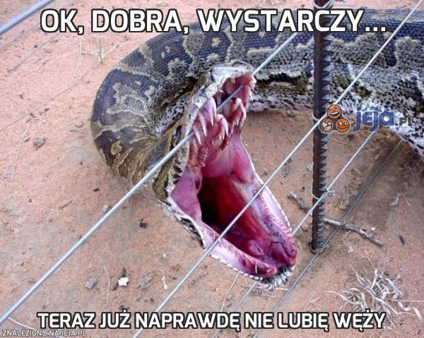 Ok, dobra, wystarczy...