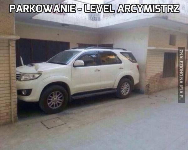 Parkowanie - level arcymistrz