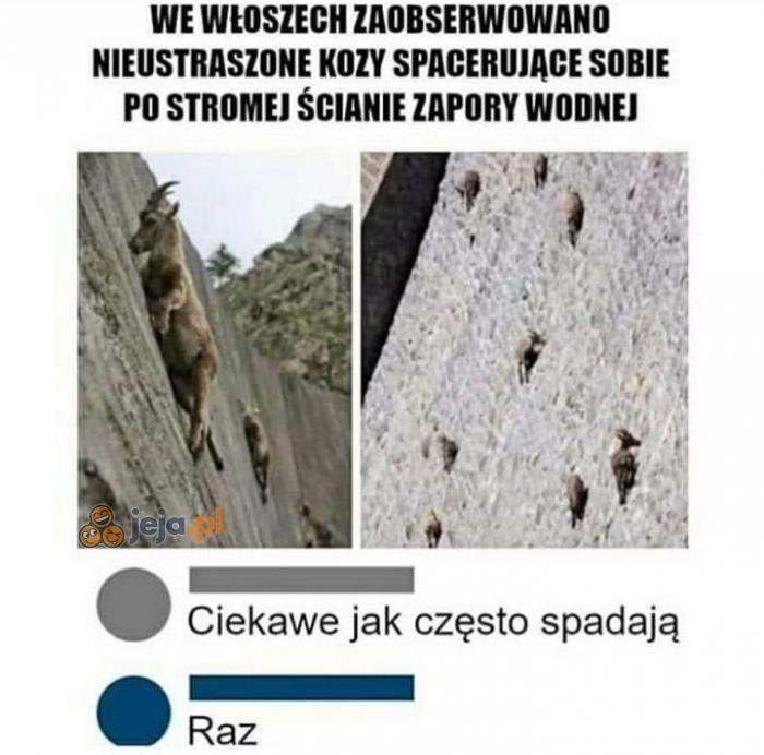 Za to porządnie