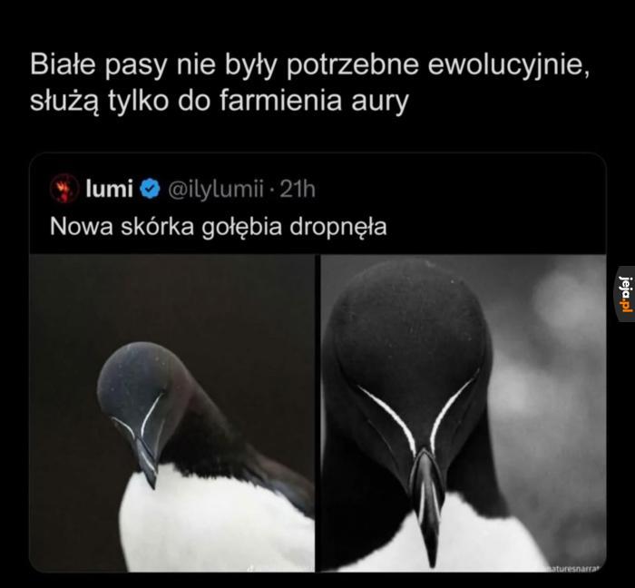 Drip