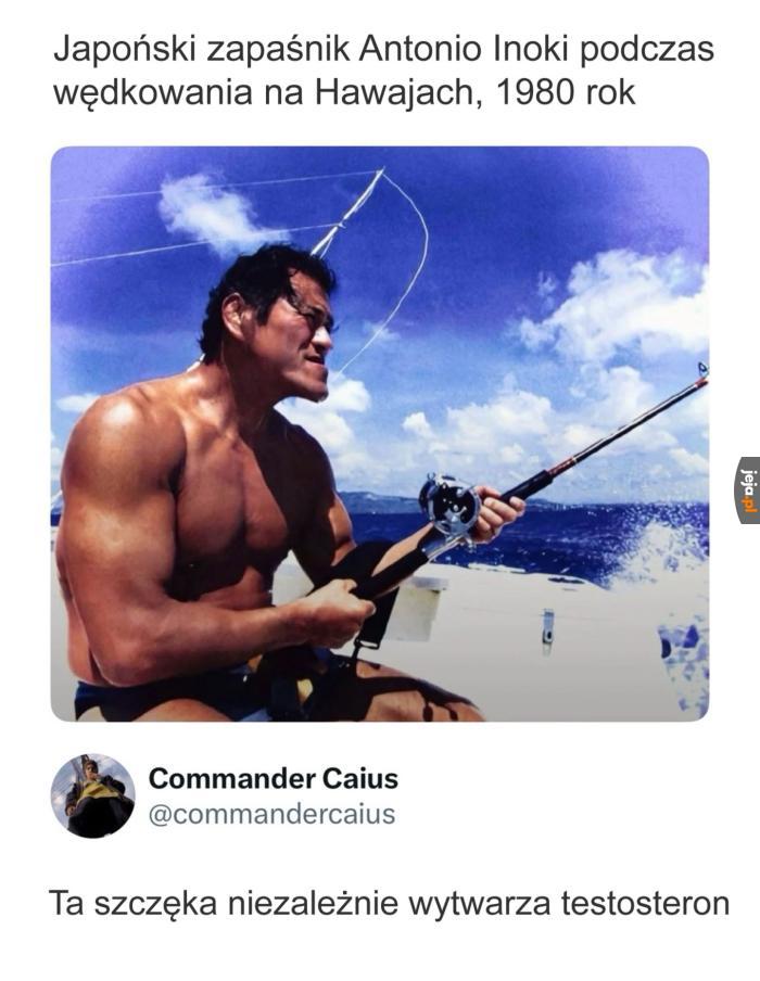 Chad do potęgi