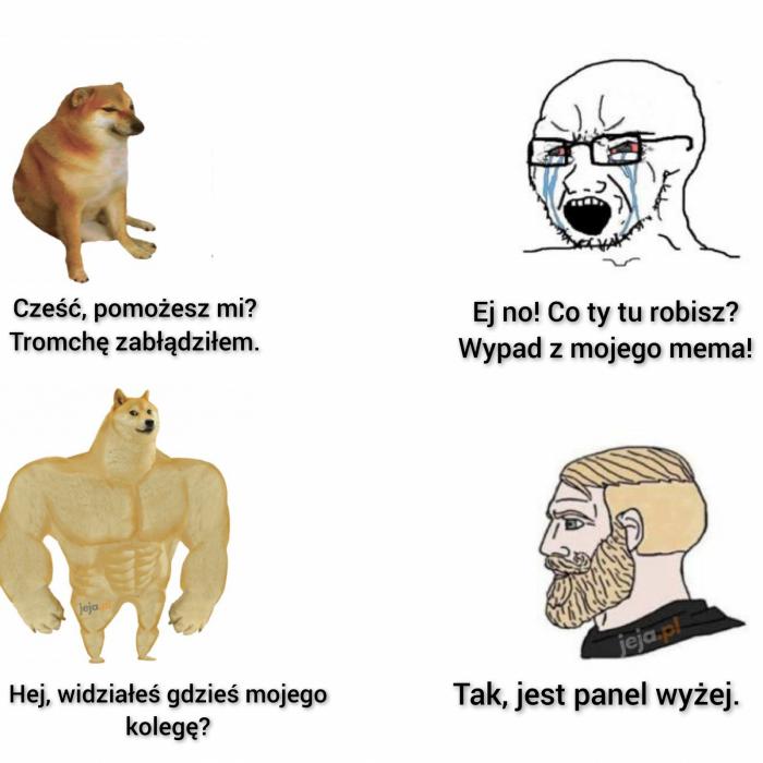 Giga chad meme -  Polska