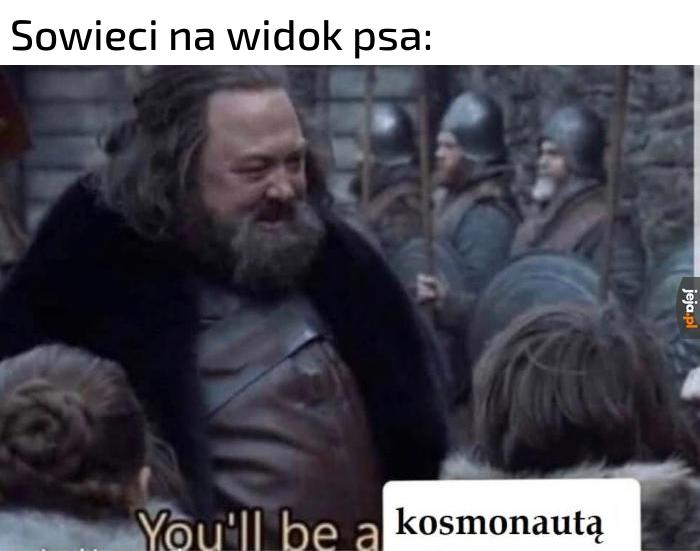 Łajka
