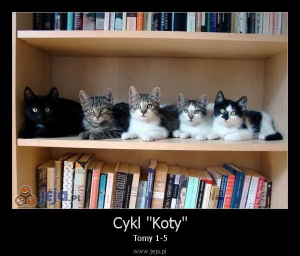 Cykl "Koty"