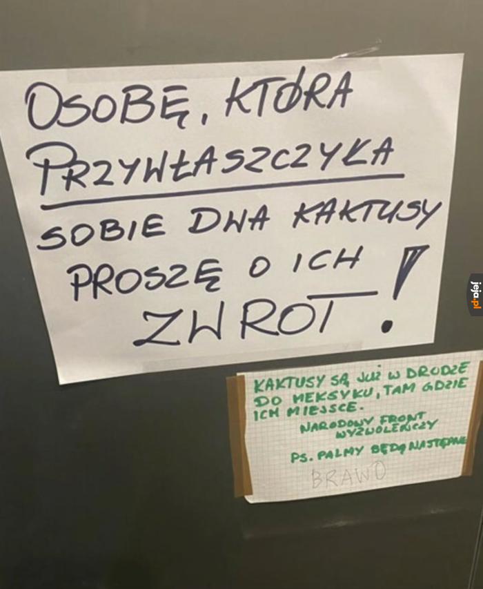 Już ich nie zobaczysz łobuzie