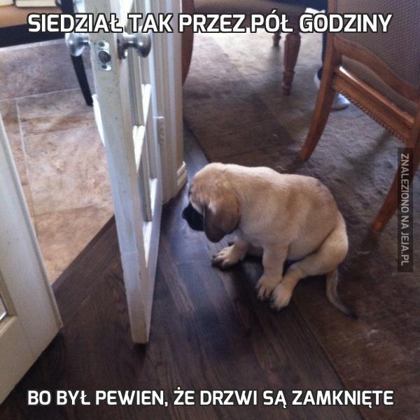 Siedział tak przez pół godziny