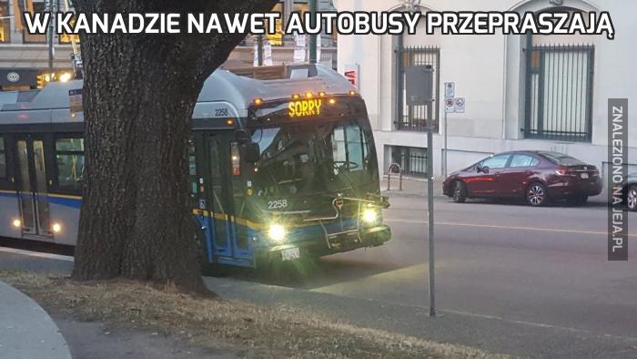 W Kanadzie nawet autobusy przepraszają