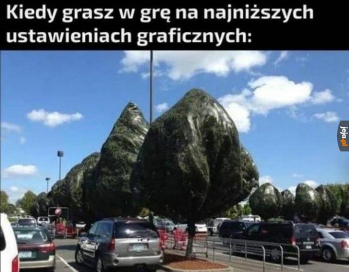Meinkraft?