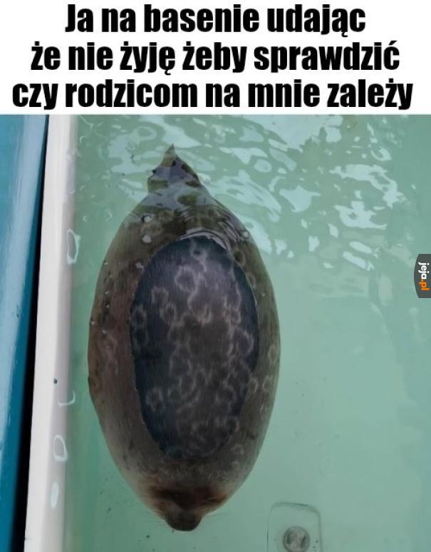 Ciekawe czy się zorientują