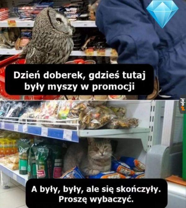 Niestety, nie ma