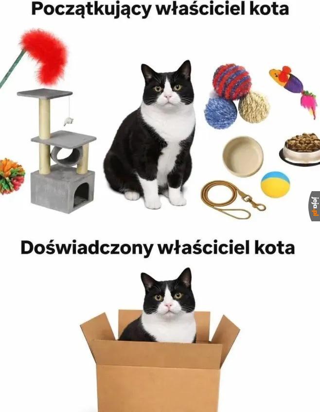 Nie warto się za bardzo starać