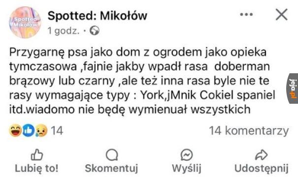 Czyli nie chce ziomek Frediego Kamionki
