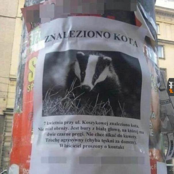 Ktoś zgubił?