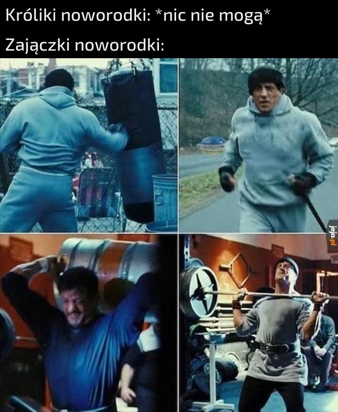 Fajterzy