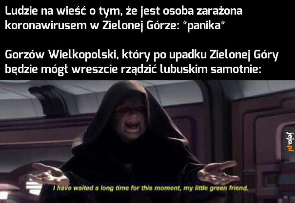 Wszystko zgodnie z planem