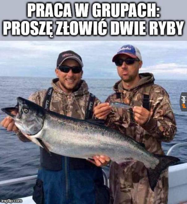 Tak to najczęściej wygląda
