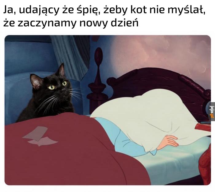 Nowy dzień, nowe śniadanie