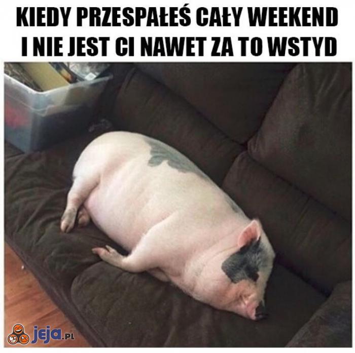 Warto było