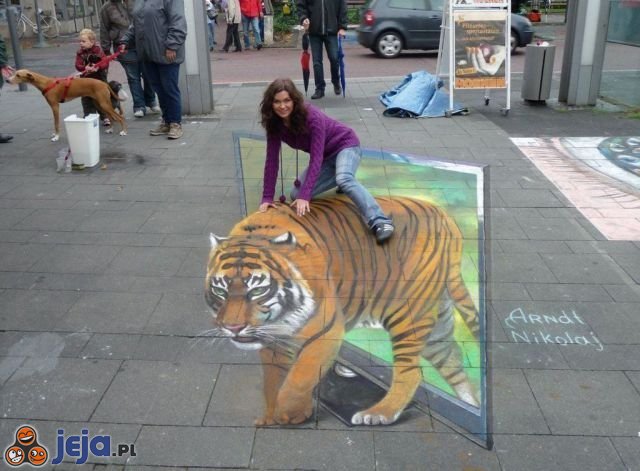 Iluzja na chodniku - Tygrys