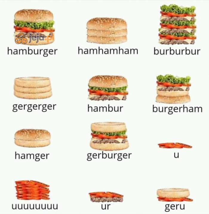 Burgerologia to nauka o burgerach, którą właśnie zmyśliłem