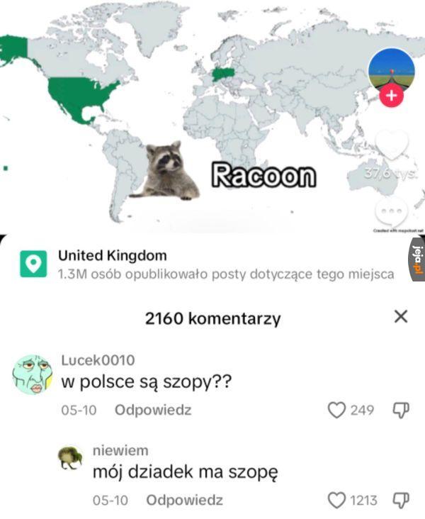 Pozdrowienia dla dziadka