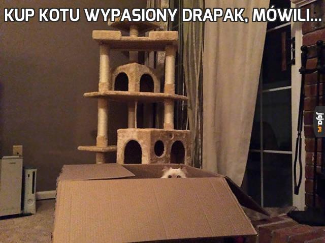 Kup kotu wypasiony drapak, mówili...