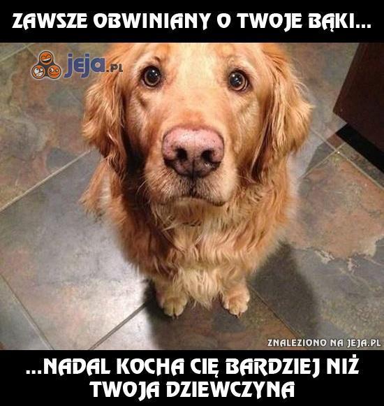 Zawsze obwiniany o Twoje bąki...