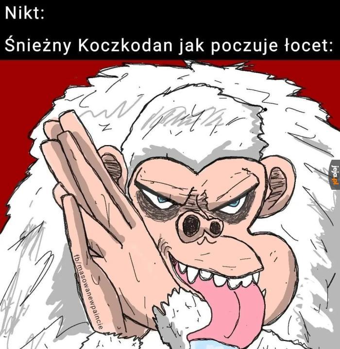 Woń kuśki hej