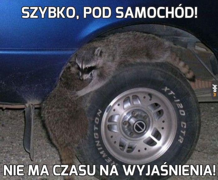 Szybko, pod samochód!