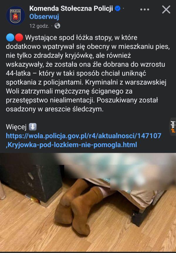 Skradanie 100