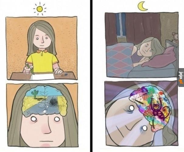 Mój mózg w dzień i w nocy