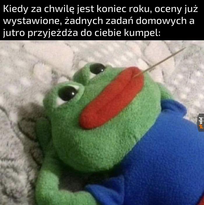 Jest w pytę kurde faja