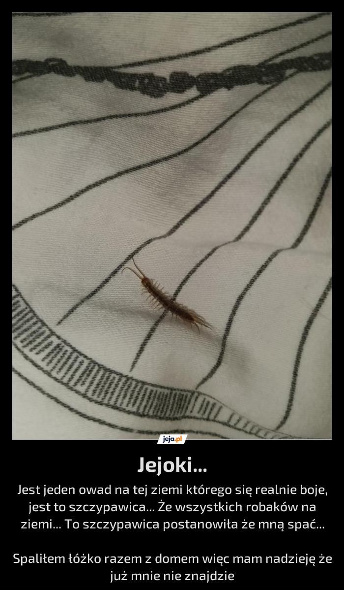 Jejoki...